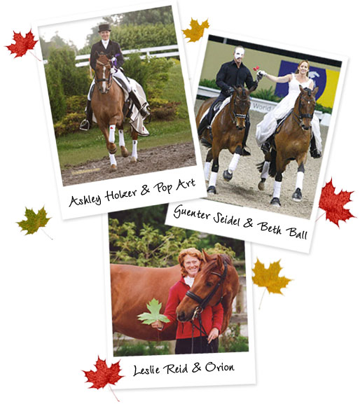 Dressage